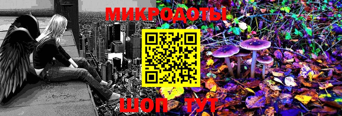 Псилоцибиновые грибы GOLDEN TEACHER Волхов