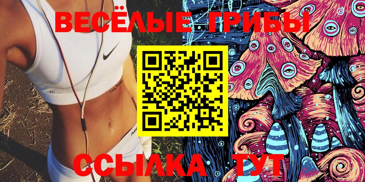 Волхов  Псилоцибиновые грибы Cubensis  Вход с VPN  Псилоцибиновые грибы прущие грибы 